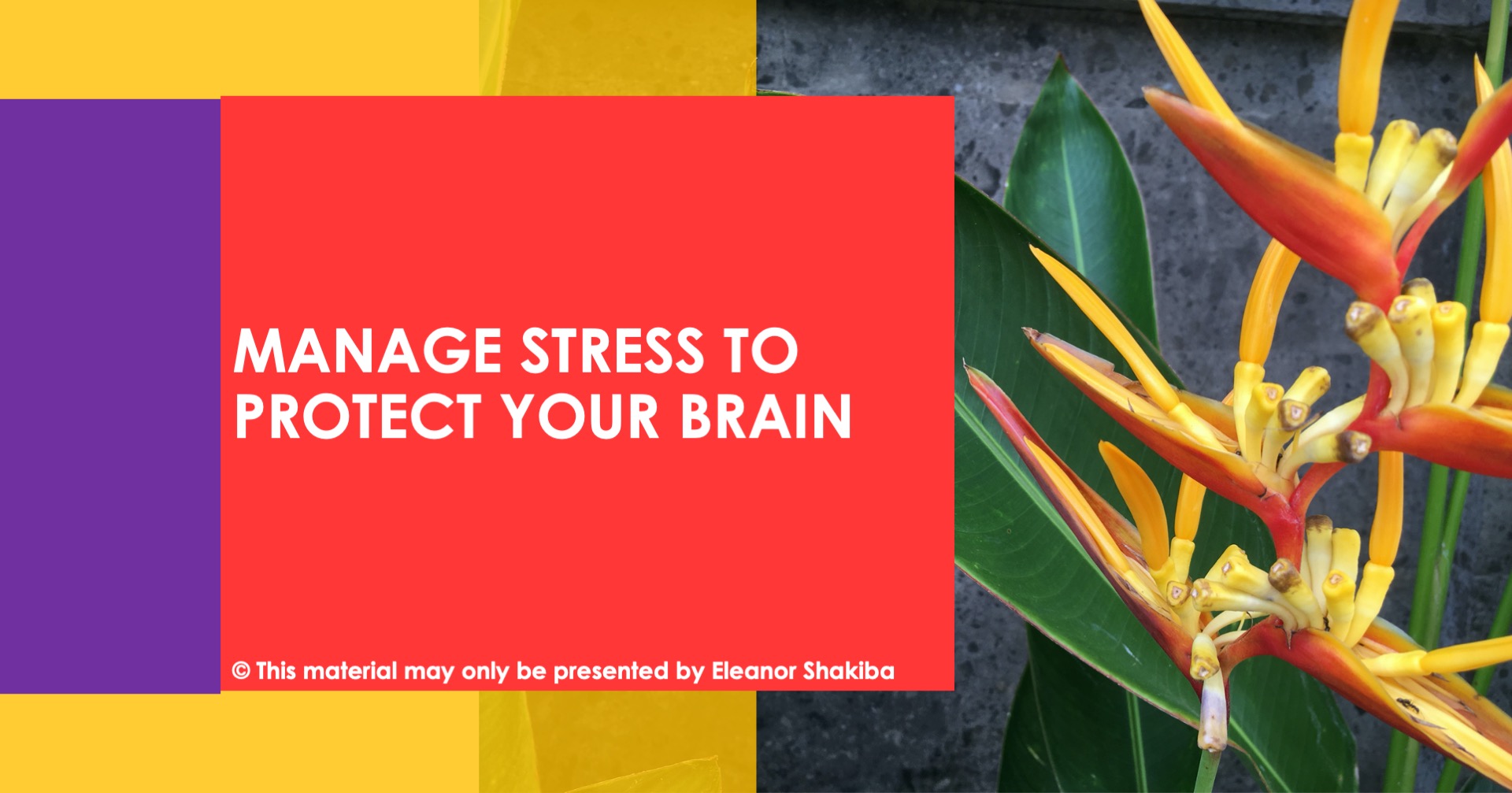 IA MANAGE STRESS TO PROTECT YOUR BRAIN – Think Learn Succeed